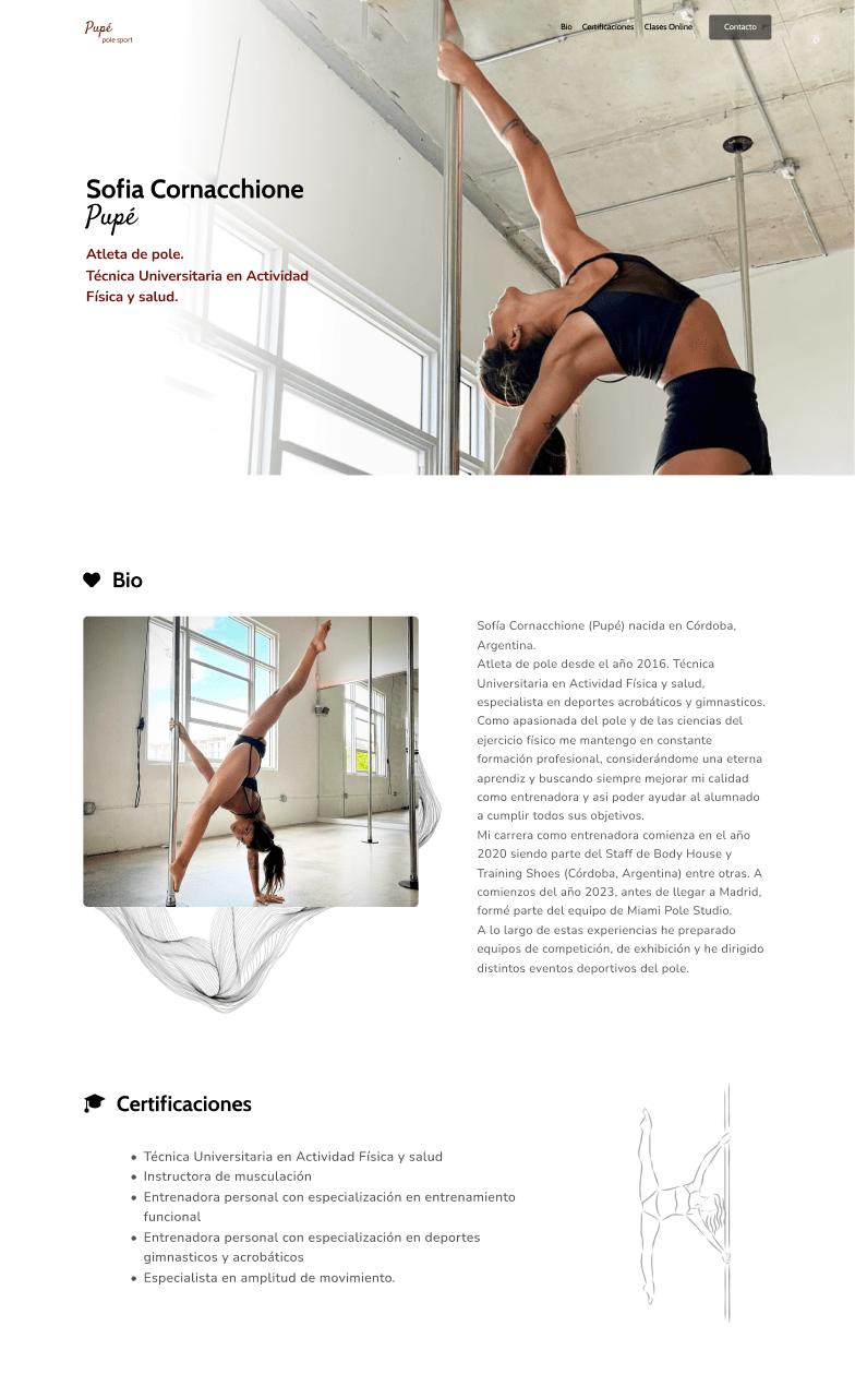 pole insttructor web image