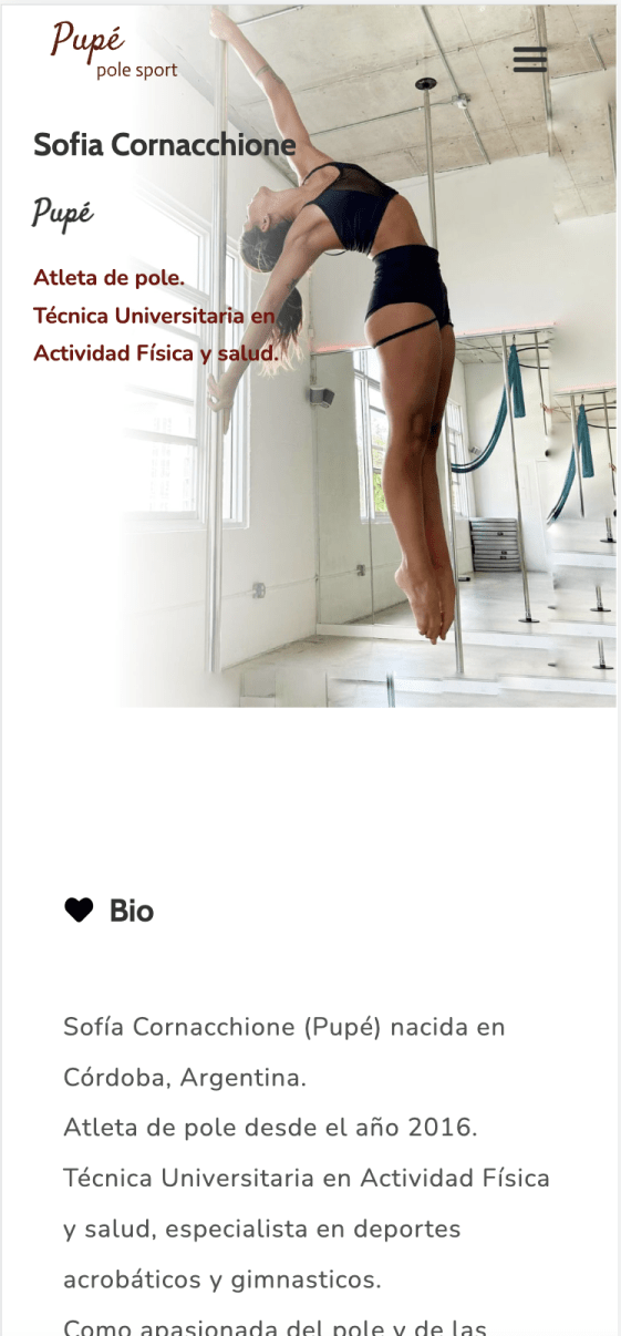 pole insttructor web image